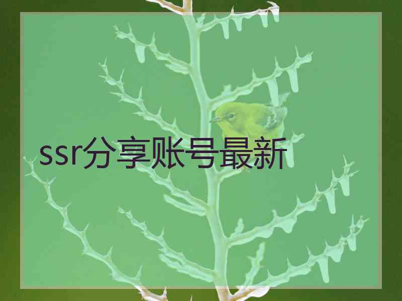 ssr分享账号最新