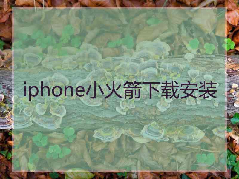 iphone小火箭下载安装