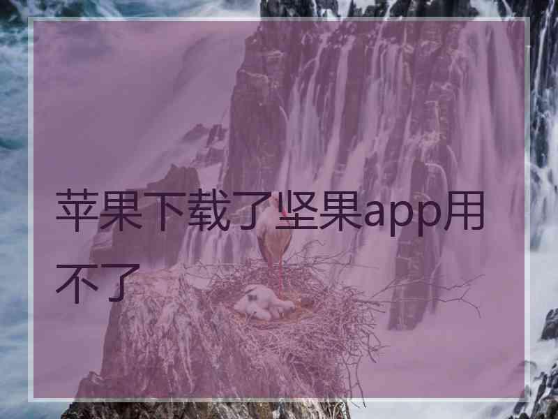 苹果下载了坚果app用不了