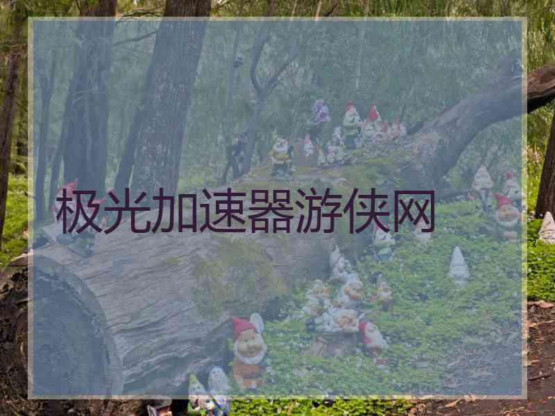 极光加速器游侠网