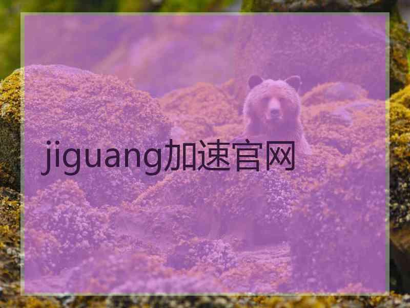 jiguang加速官网