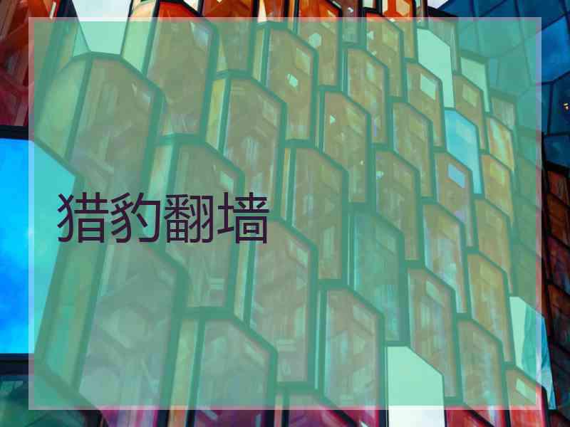 猎豹翻墙