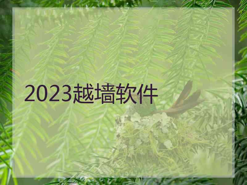 2023越墙软件