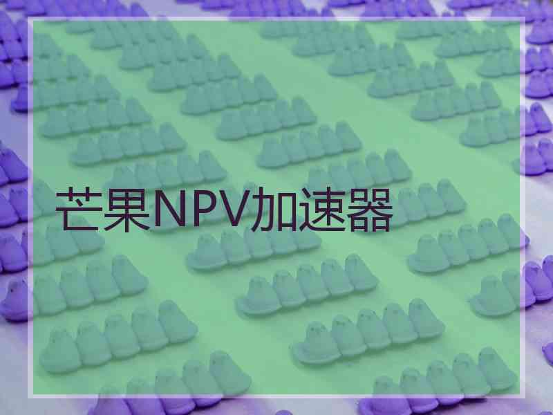 芒果NPV加速器