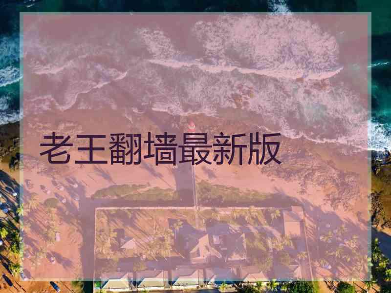 老王翻墙最新版