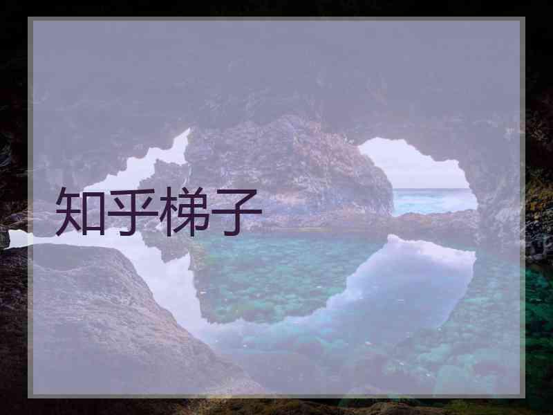 知乎梯子