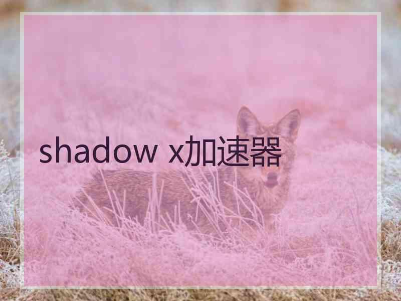 shadow x加速器