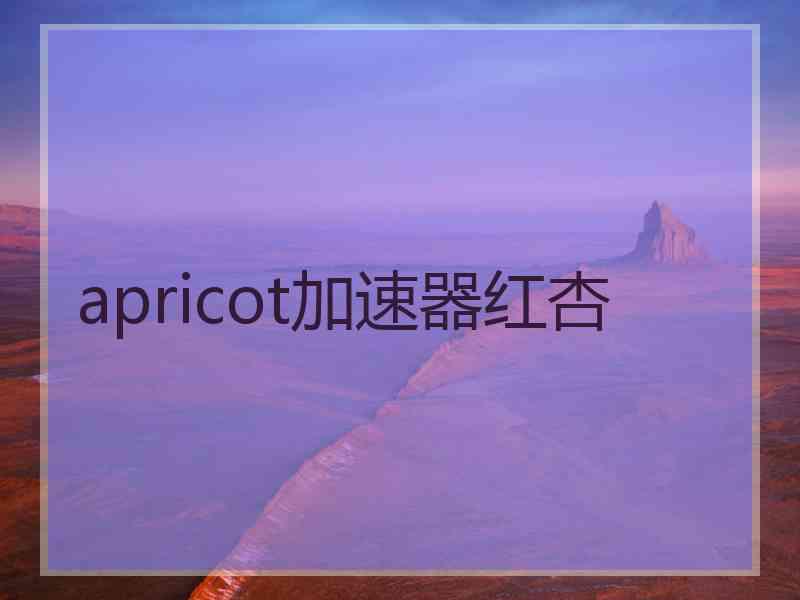 apricot加速器红杏