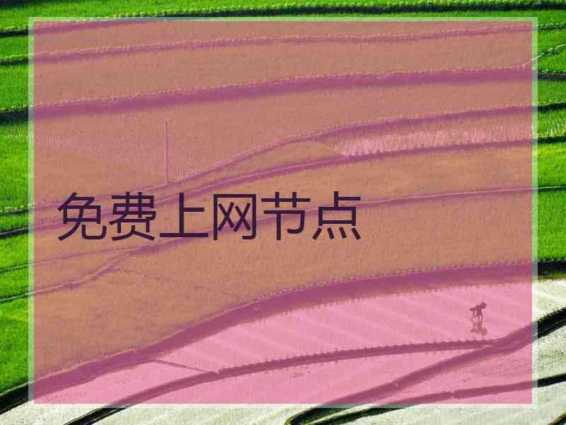 免费上网节点