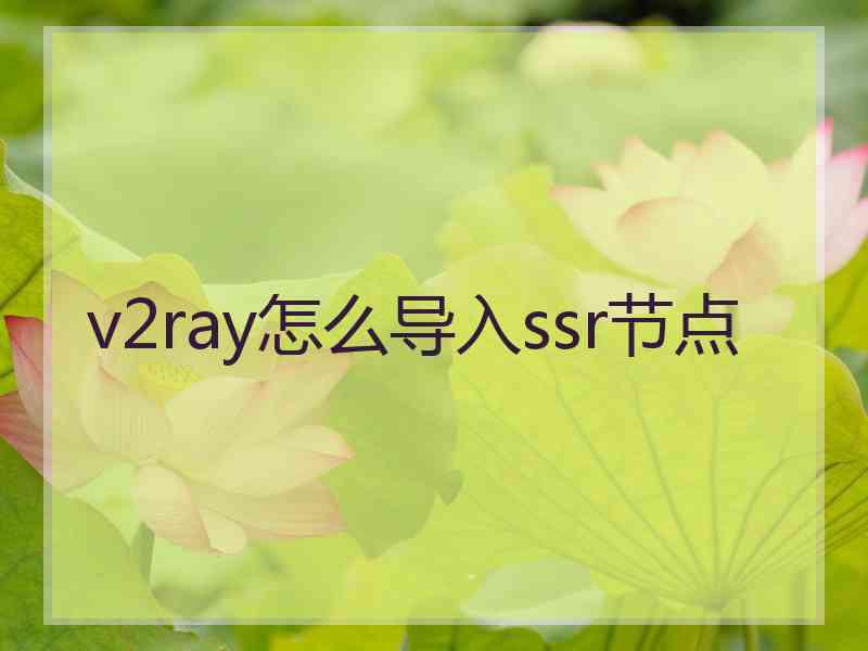 v2ray怎么导入ssr节点