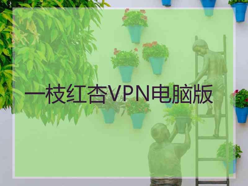 一枝红杏VPN电脑版