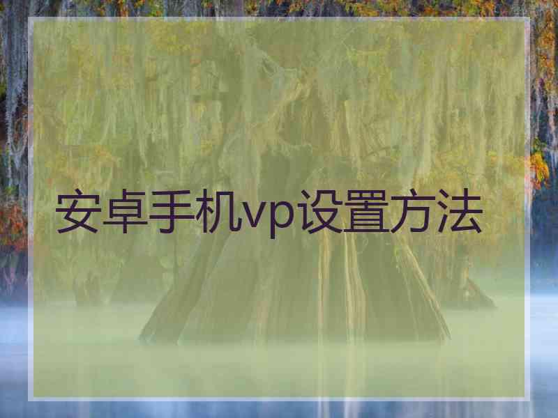 安卓手机vp设置方法