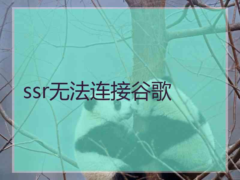 ssr无法连接谷歌