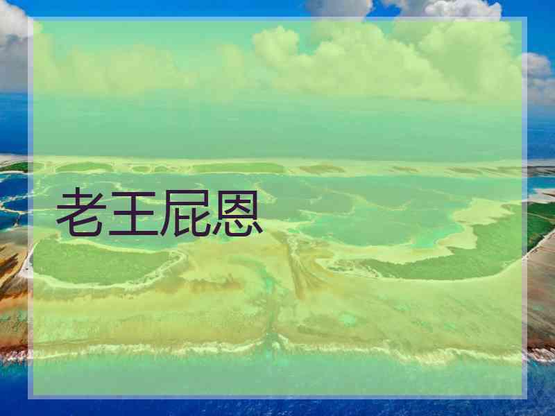 老王屁恩